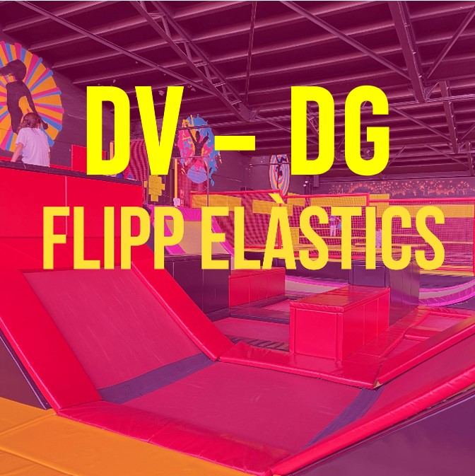 2.1.-FLIP ELÀSTICS/ XARXES DV-DG-FESTIUS